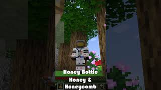 How to Get Honey and Honeycomb in Minecraft 121 [upl. by Anotyad]