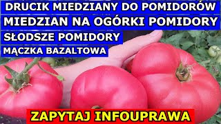 Drucik Miedziany do Pomidorów Miedzian na Ogórki i Pomidory Słodsze Pomidory Mączka bazaltowa QampA [upl. by Ecertal]