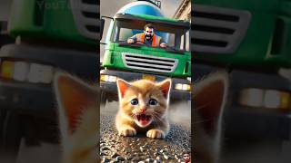 The kitten just wanted a😲 sandwich story cat kitten cute [upl. by Aniaz]