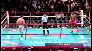 Pernell Whitaker vs Julio Cesar Vasquez [upl. by Adamsen]