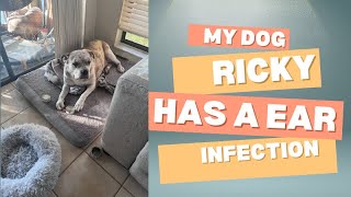 Poor Ricky has a ear infection [upl. by Marl129]