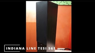 Indiana Line Tesi 561Rotel A11 Tribute HiFi per tutti [upl. by Oremodlab]