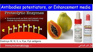 Lecture 115 Antibodies potentiators or Enhancement media [upl. by Horsey]