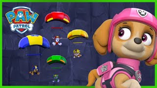 Rescue on Rumbletop Island and MORE  PAW Patrol  Cartoons for Kids [upl. by Jason]