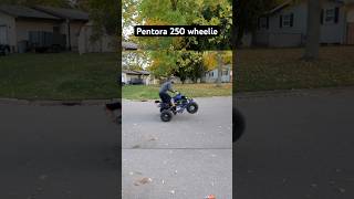 Pentora 250 Quad Wheelie [upl. by Rawde141]