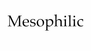 How to Pronounce Mesophilic [upl. by Aleedis]