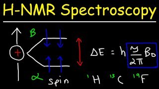 Basic Introduction to NMR Spectroscopy [upl. by Burkhart]