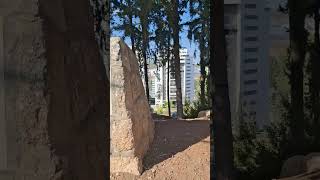 Historic Forest in Beit Shemesh in Israel [upl. by Michelle]