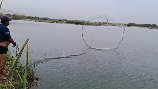 este pescador después de tirar cada ves su atarraya y mira la gran pesca que hace [upl. by Eskil]