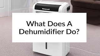 What Does A Dehumidifier Do  Sylvane [upl. by Billen]