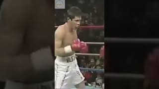 JCChávez vs Roger Mayweather 2 [upl. by Onailimixam409]