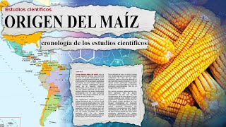 El nuevo origen del Choclo Maíz explicado cronología de los estudios científicos [upl. by Arykat376]