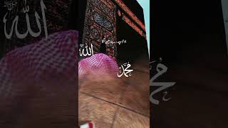 beautiful recitation quran qurantilawatheartt beautifulrecitation [upl. by Eteragram]