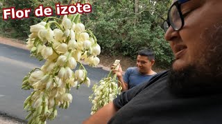 Váyase a la casa Le dije al vendedor de flor de Izote😡 [upl. by Santa726]