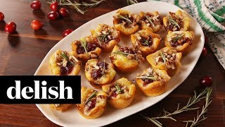 How to Make Cranberry Brie Bites  Recipe  Delish [upl. by Ardnohsed]