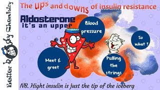 Aldosterone in insulin resistance [upl. by Ainwat983]