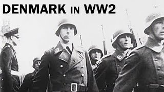 Denmark in World War 2  The Danish Resistance  Documentary Short  1944 [upl. by Enoid]