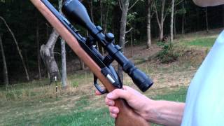 Laser sight on 22 Marlin Model 60 [upl. by Tnecnivleahcim855]