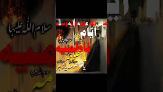 Shahdat Hazrat Fatima sa  Allama Asif Raza Alvi sb shorts majlis shahdat hazratfatima viral [upl. by Tonie]