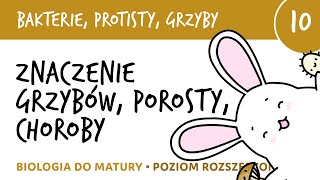 Znaczenie grzybów porosty grzybice i inne przykrości  Bakterie grzyby protisty 10  biologia [upl. by Niuqram]