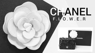 DIY Quilling Camellia Flower Tutorial  Chanel Camellia Paper Flower [upl. by Aknayirp]