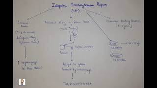 Idiopathic Thrombocytopenic Purpura  ITP  MBBS exam preparation  pediatrics  Pediatric snippets [upl. by Anelliw]