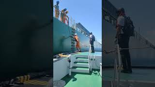 Pilot Boarding at sea ship merchantvessel cargoship automobile sailor ocean [upl. by Sommers895]