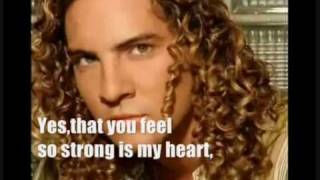 DAVID BISBAL CUIDAR NUESTRO AMOR Live Audio Translation in english [upl. by Zoila]