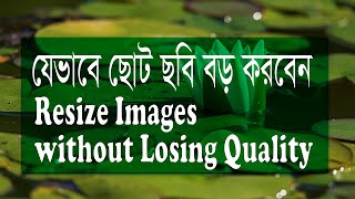 013 Resize Images without Losing Quality with Photoshop Bangla Tutorial [upl. by Assilev947]