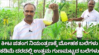 ಕೀಟ ಪತಂಗ ನಿಯಂತ್ರಣಕ್ಕೆ ಲಿಂಗಾಕರ್ಷಕ ಬಲೆಗಳು  fruit fly trap kannada  Yellow sticky trap for white fly [upl. by Ynattib979]