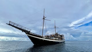 Aboard the Coralia Raja Ampat Indonesia [upl. by Feenah]