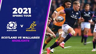 2021 Spring Tour Scotland vs Wallabies match highlights [upl. by Daiz]