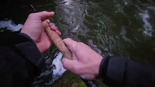 Catching Coho salmon on a 5wt fly rod  high watervery doable [upl. by Shepley]