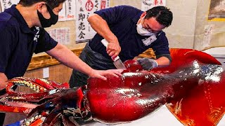 Incredible Giant Squid Fishing  How to Cutting Giant Squid And Squid Processing in Factory [upl. by Wilkinson]