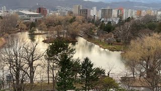 Nakajima koen sapporo hokkaido live camera [upl. by Akerboom482]