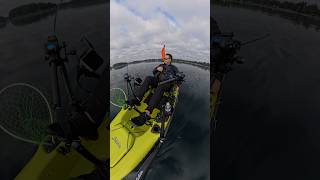 Hobie Outback kayak fishing American Lake Washington [upl. by Hardman]