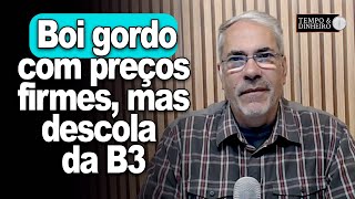 Boi gordo tem preços firmes no mercado físico mas descolado da B3 Veja como está a reposição no MS [upl. by Muryh955]