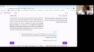 THE MARCH TO MASHIACH  Talmud Pesachim 118a9  ערבי פסחים 248  Rabbi Levi Y New [upl. by Enileuqcaj]