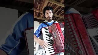 Canarinho Cantador  Teixeirinha  José Santtos do Accordion🎹🇧🇷✌🏼 [upl. by Ahseyd751]