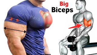 5 Killer Biceps Workouts for Massive Gains  bicep workout [upl. by Hollington]