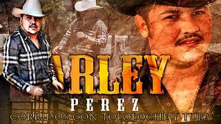 Arley Perez  Corridos Con Tololoche Y Tuba  Exitos De Oro [upl. by Notnel]