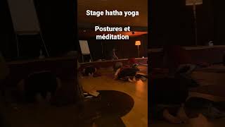 Stage hatha yoga  postures et méditation [upl. by Zippel]