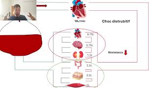 13Difference arterio veineuse en O2 sepsis effet shunt [upl. by Clausen]