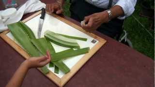 How to make Aloe Vera gel [upl. by Wilone834]