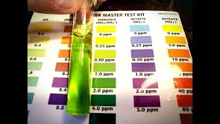 Is Your Tap Water POISONING YOUR FISH Here Is How I Am Making Sure My Aquarium Water Is Healthy [upl. by Livvie]