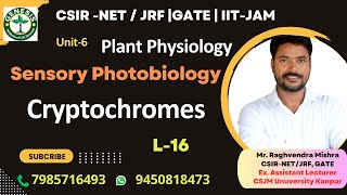 Cryptochrome  Structure Signaling amp Responses  Plant Physiology genesisinstitute [upl. by Legra302]