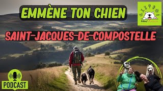 SaintJacques de Compostelle AVEC son CHIEN [upl. by Ydnys620]