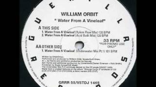 William Orbit  Water From A Vine Leaf Acid Bath Mix [upl. by Sacttler]