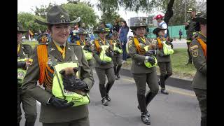 Régimen de la policía nacional de Colombiaentrevista a intendente del Cesar Clase D disciplinario [upl. by Corabelle]