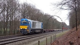 RRF G2000 1384 komt met de AmRo containertrein langs de boogjes te Hollandsche Rading [upl. by Sokairyk]